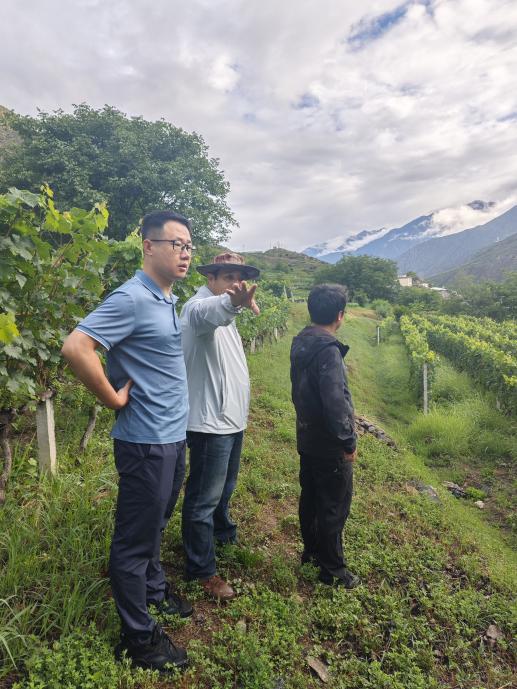 MVIMG_20250714_081145