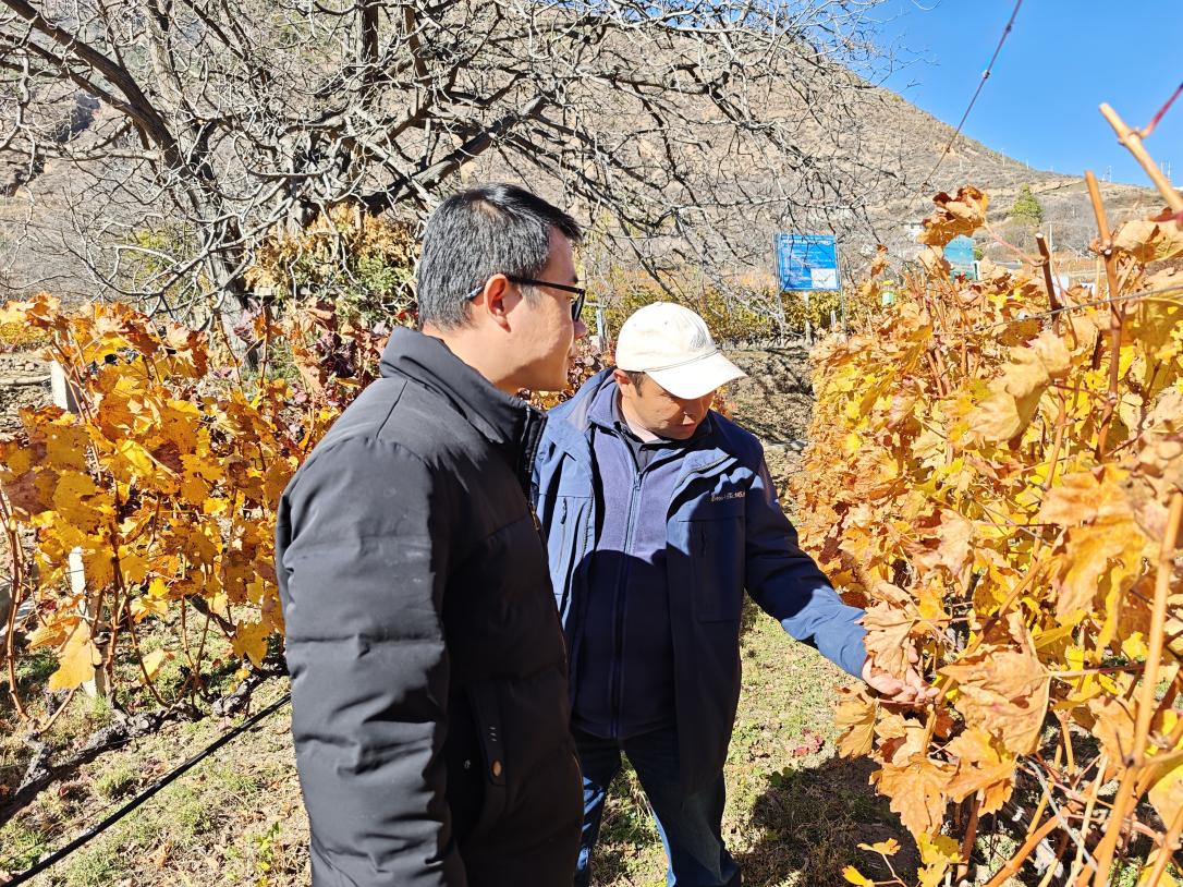 2247ce765252768531101efd23ec445e