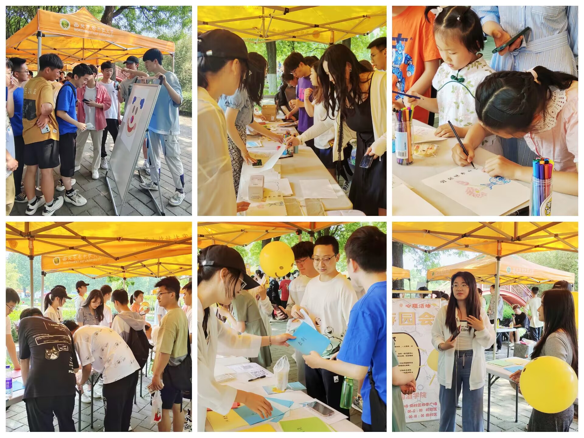 87e2a9476b254ec18ba92959b2bec250.jpg 87e2a9476b254ec18ba92959b2bec250.jpg